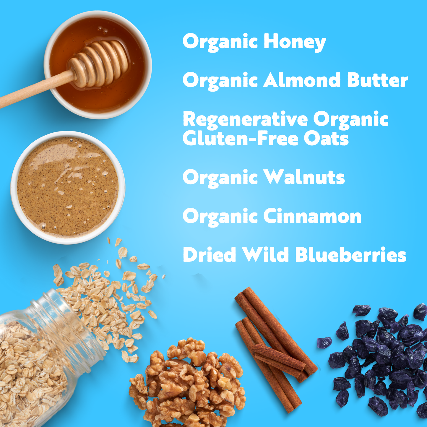 Blueberry Almond Butter | Organic Real Food Bar: 53g