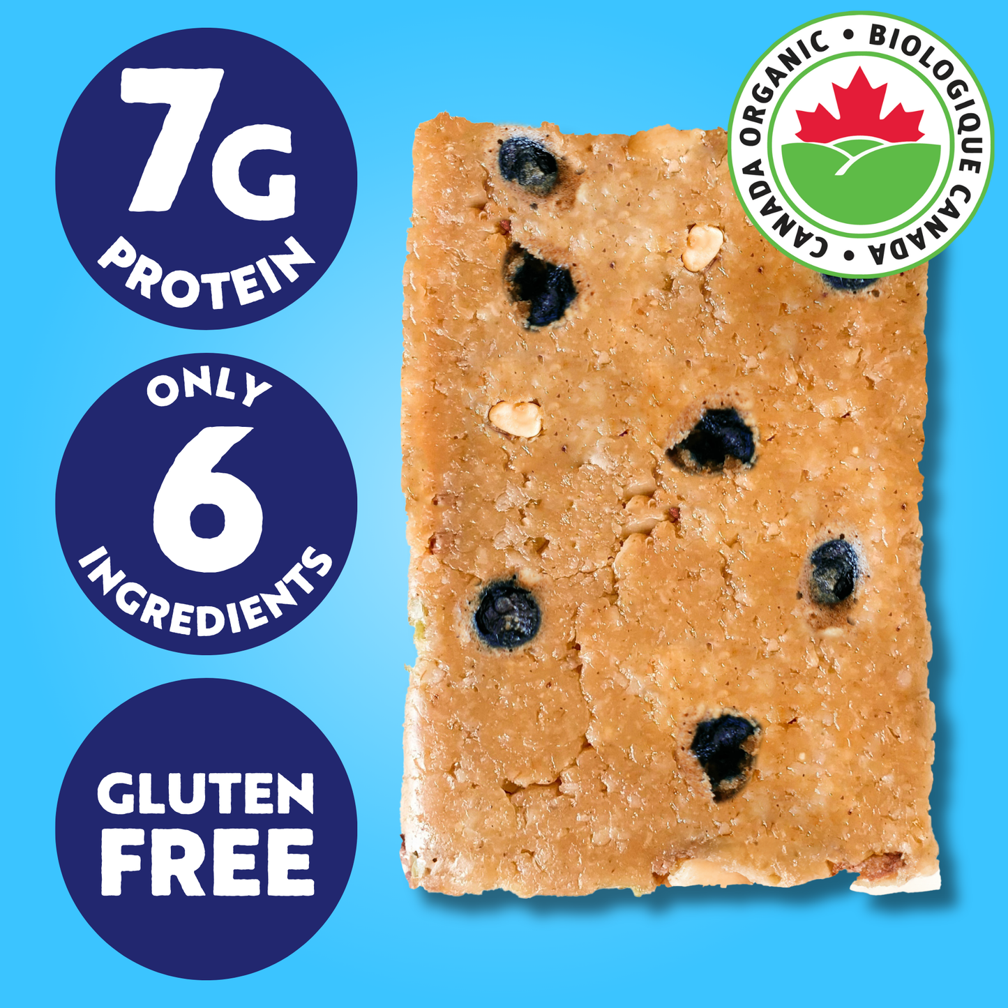 Blueberry Almond Butter | Organic Real Food Bar: 53g